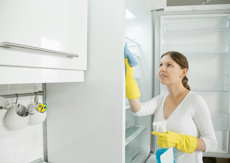 Как правильно отмыть холодильник от грязи?